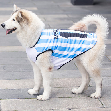 Unleash Joyful Adventures with Your Furry Friend!
