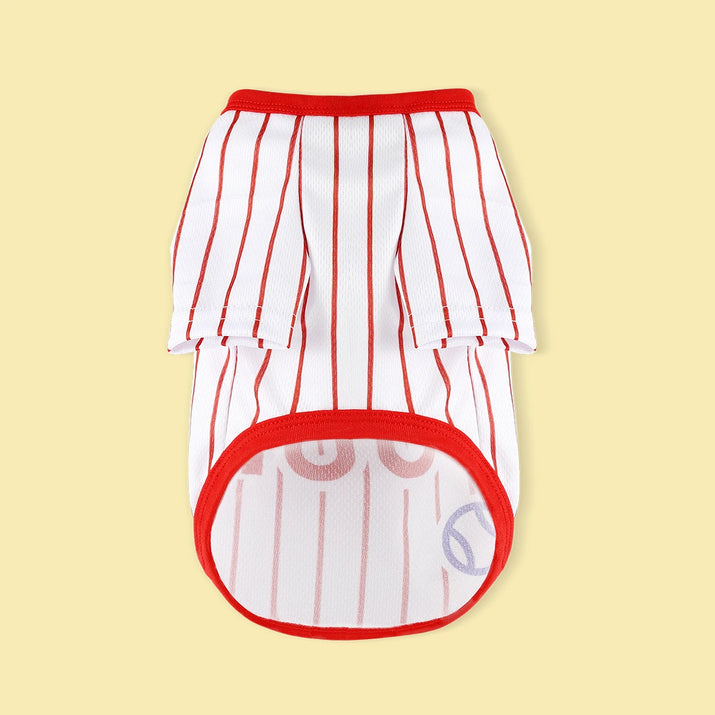 Introducing Our Athletic Striped Dog T-Shirt, Tailored for Large, Medium, and Small Breeds. the Back Showcases 'Baseball 100' Te