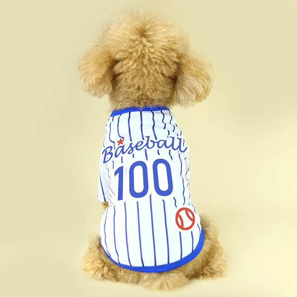 Introducing Our Athletic Striped Dog T-Shirt, Tailored for Large, Medium, and Small Breeds. the Back Showcases 'Baseball 100' Te