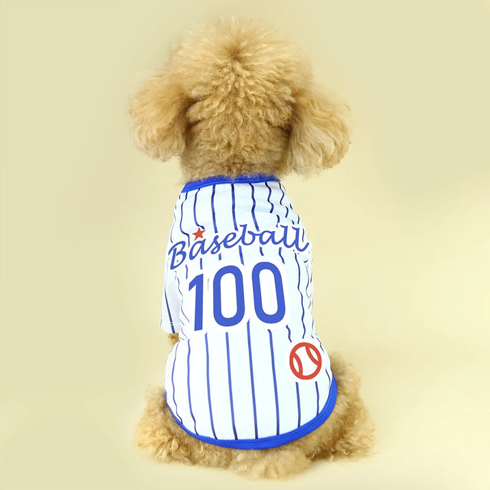 Introducing Our Athletic Striped Dog T-Shirt, Tailored for Large, Medium, and Small Breeds. the Back Showcases 'Baseball 100' Te