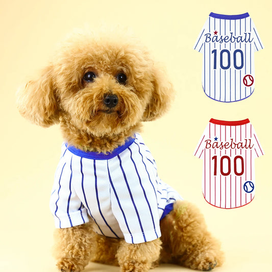 Introducing Our Athletic Striped Dog T-Shirt, Tailored for Large, Medium, and Small Breeds. the Back Showcases 'Baseball 100' Te